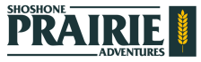 Spa Logo Small